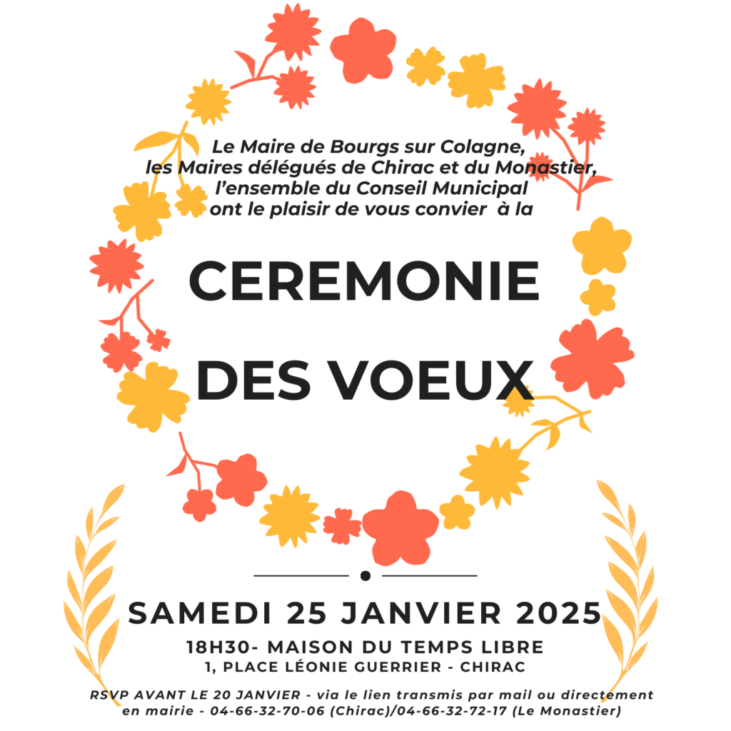 CEREMONIE DES VOEUX (4)